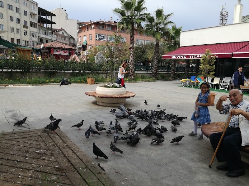 Avukat Behçet Alkan Lokum