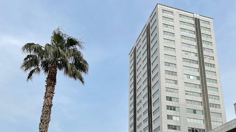 Denizaslanı Hukuk Bürosu | Law • Cabinet D'avocats Francophones à Izmir