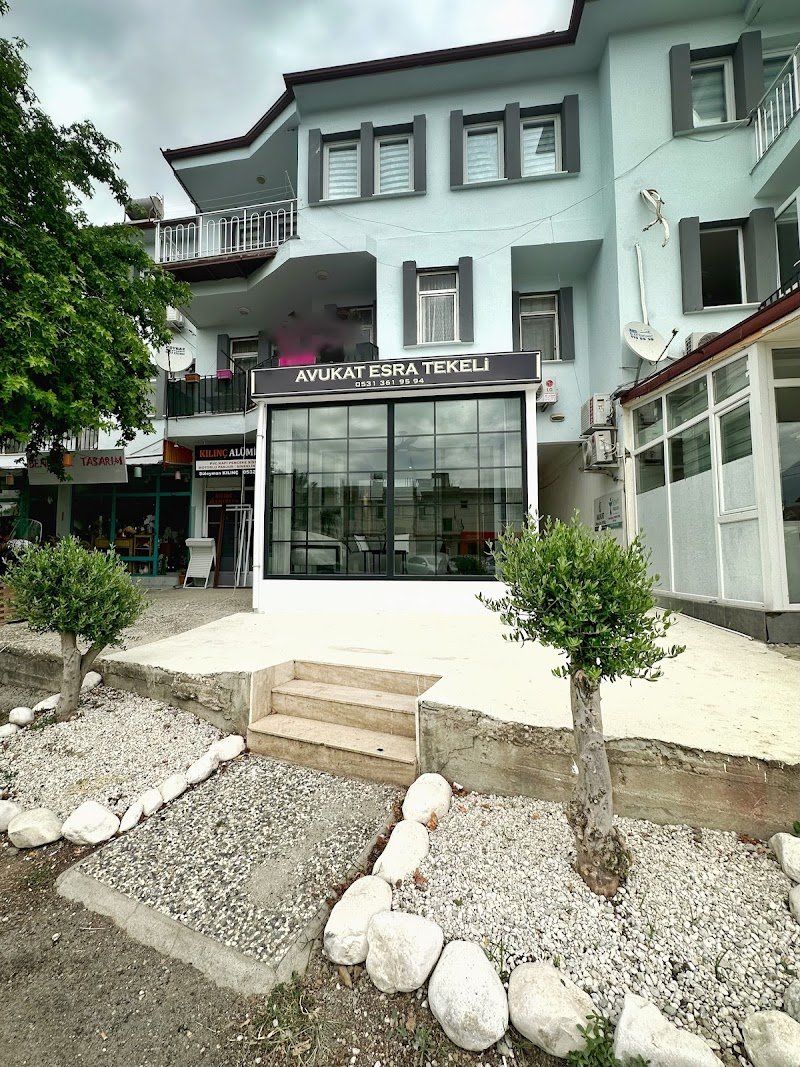 Avukat Esra Tekeli