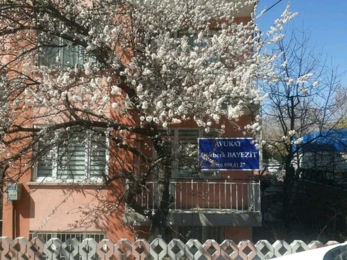 Av. Gökberk Bayezit Hukuk Bürosu