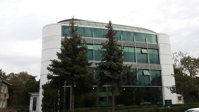 GAYE Hukuk & Danışmanlık