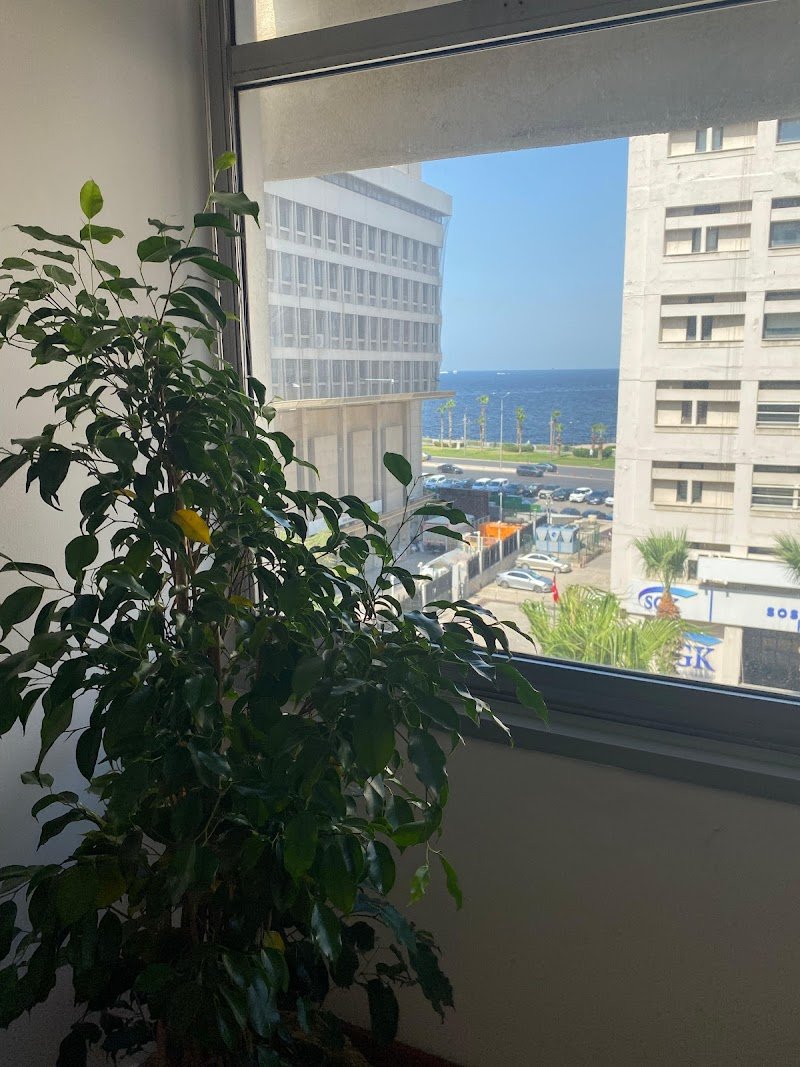 DÖNMEZ HUKUK BÜROSU - Av. Deniz Dönmez