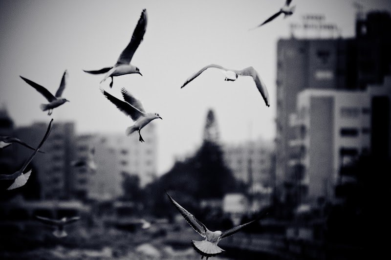 Av. Pınar Yılmaz Büyükurgancı | Antalya Boşanma Avukatı