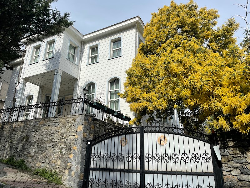 Av. Mehmet Görünmez