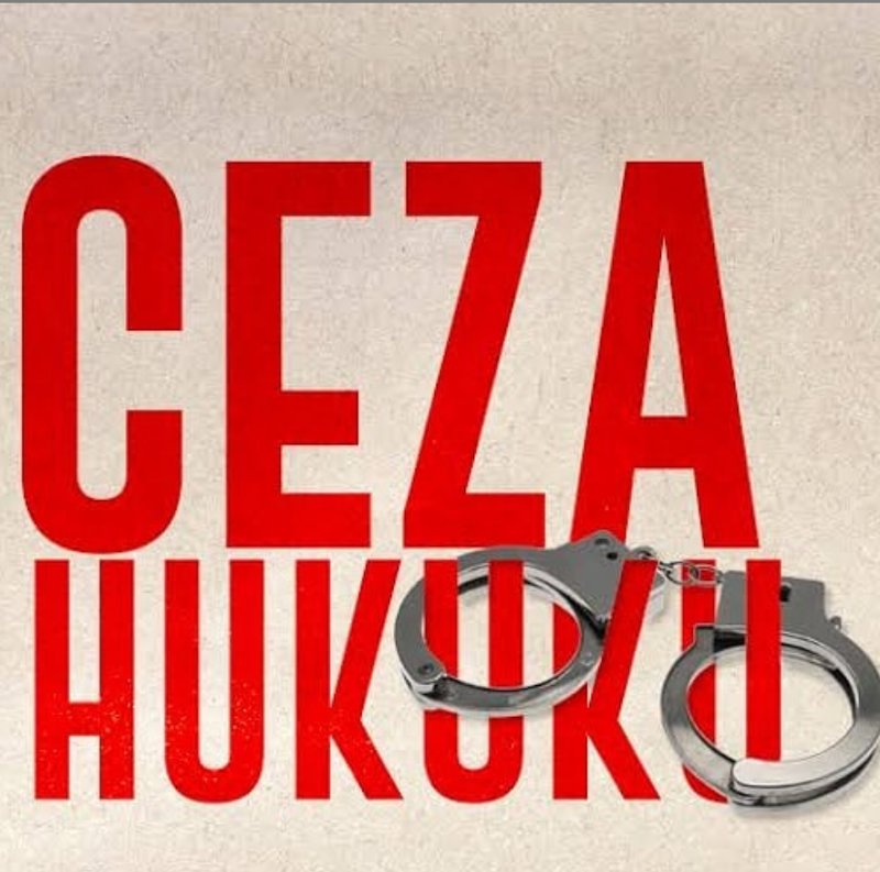 İstanbul Kartal Ceza Avukatı Oral LERMİ