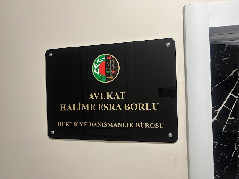 Avukat Halime Esra Borlu Hukuk ve Danışmanlık