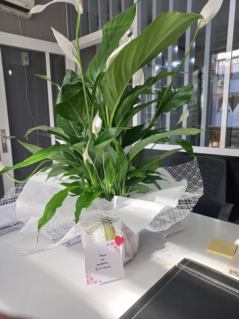 Boşanma-Ceza Avukatı Nuket Dönmez Kaya