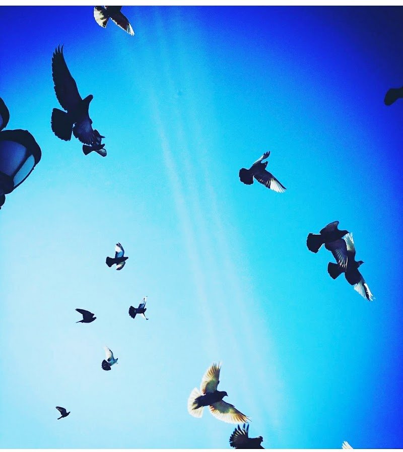 AVUKAT&ARABULUCU SÜLEYMAN MUTLUCAN