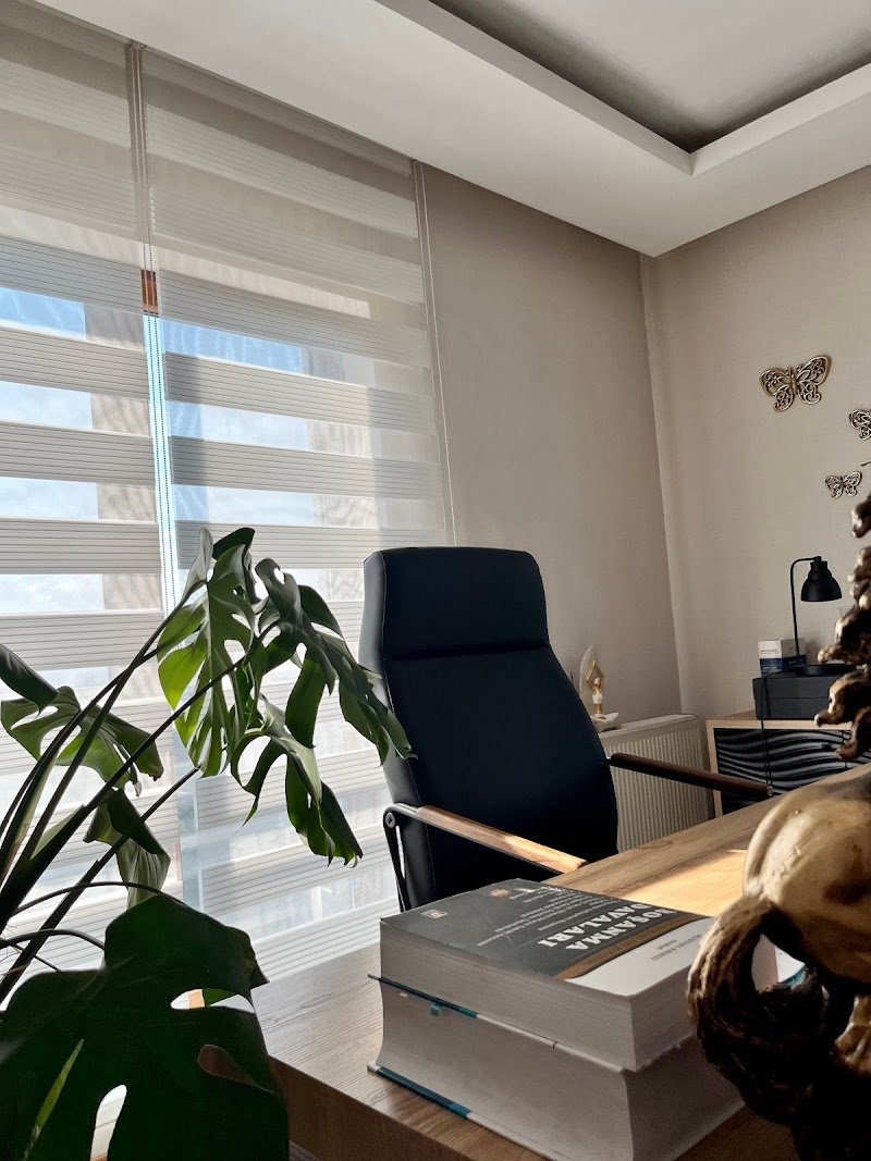 Avukat Ayşenur BABACAN (Aterna Avukatlık Bürosu)