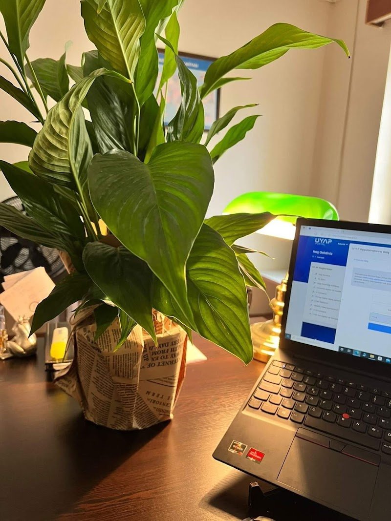 Avukat Abdullah Serdar Önür