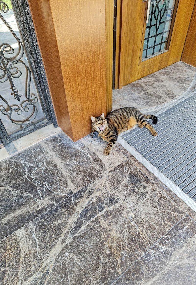 Kurut Avukatlık Bürosu