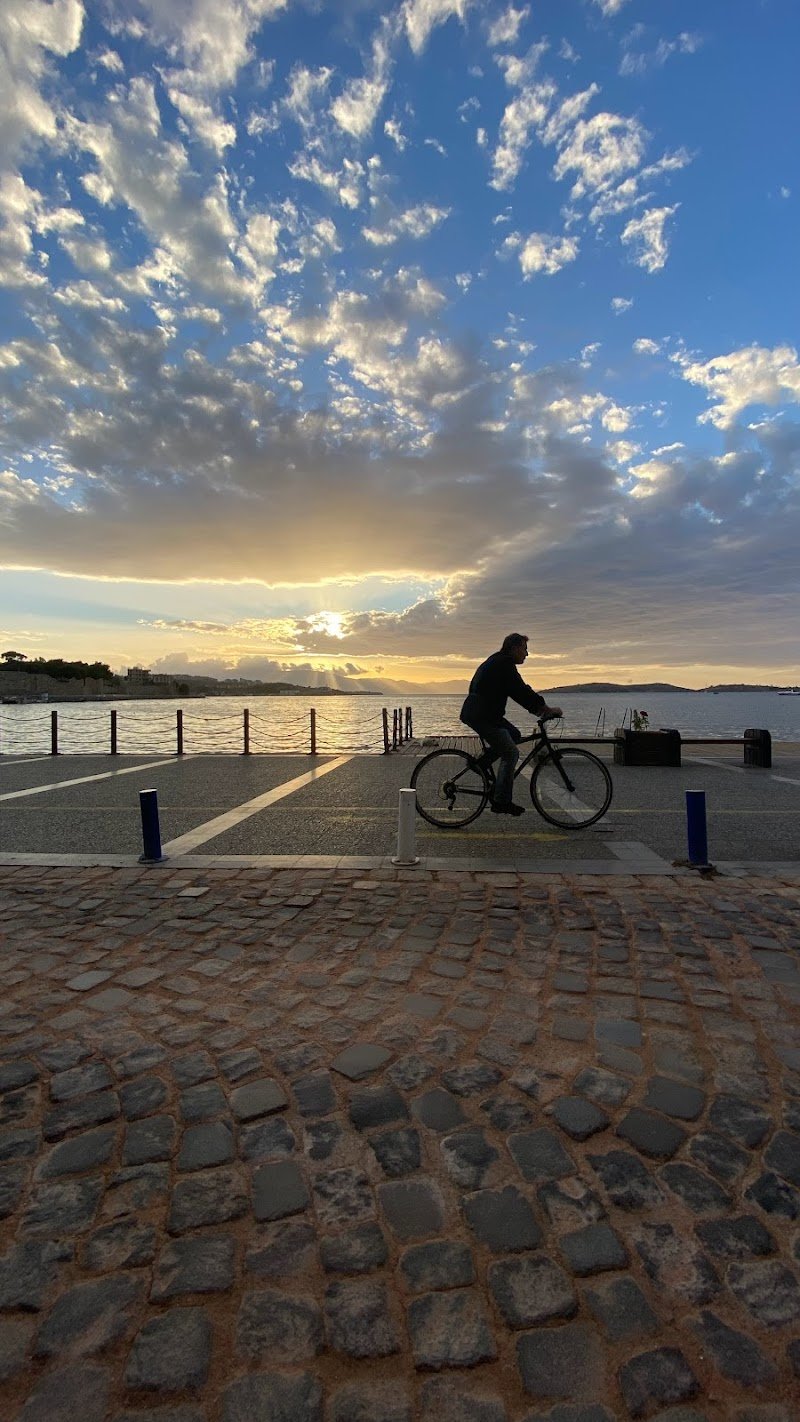 Avukat Kadife Çiğdem AYGÜL