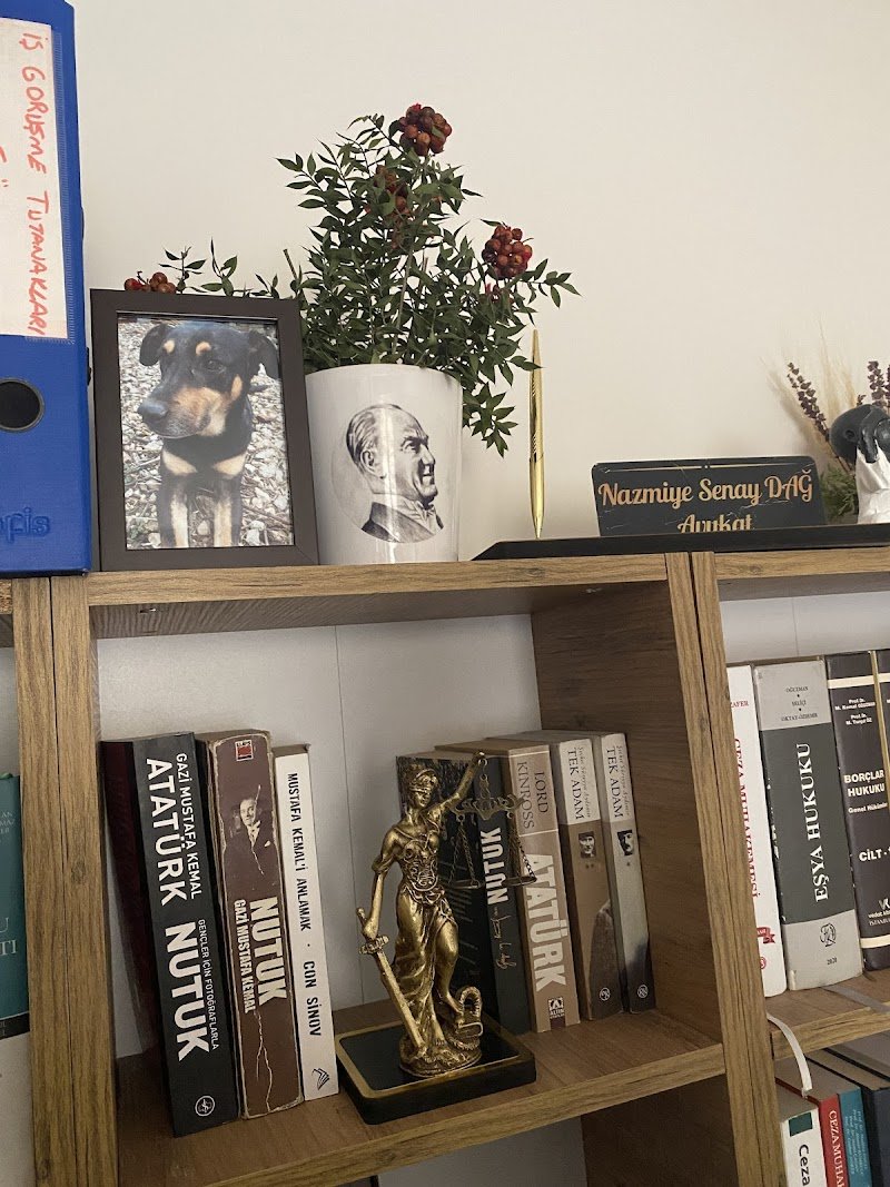 Mersin Avukat Nazmiye Senay Dağ - Avukat Sergen Muşoğlu