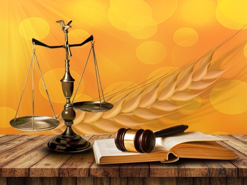 Sarıoğlu Sefer Hukuk Bürosu | İstanbul Ceza Avukatı - İstanbul Boşanma Avukatı