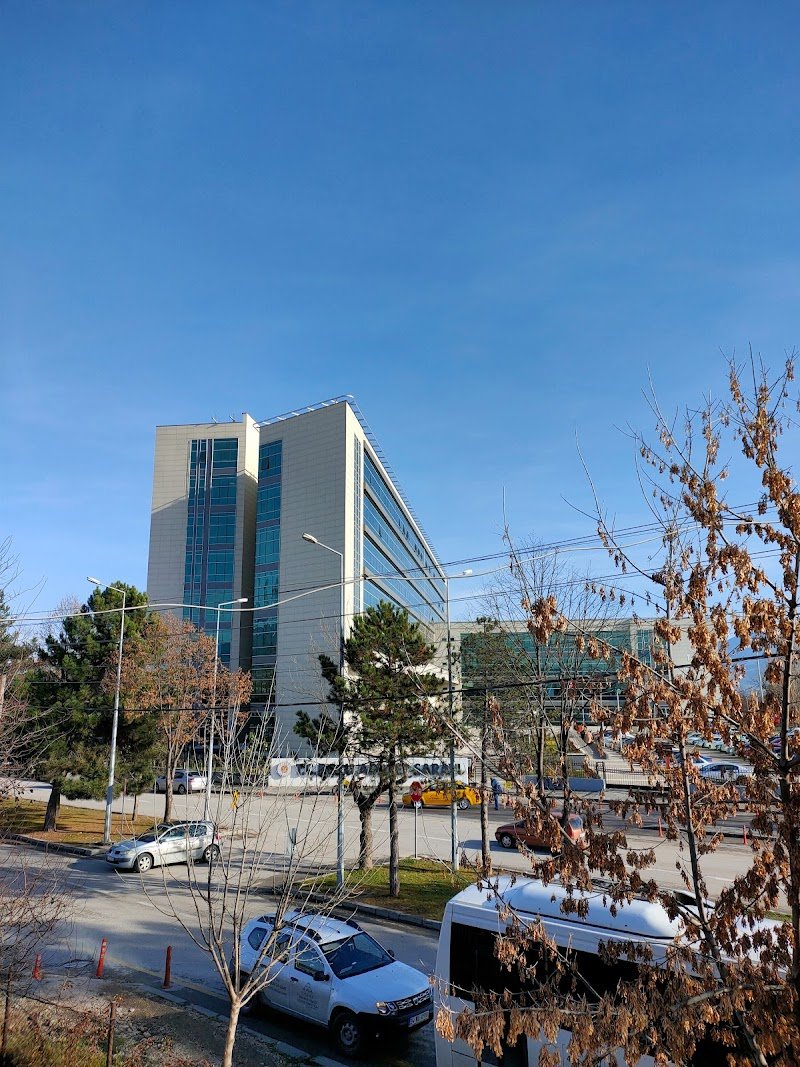 Avukat Berrin Çelen Kutlukkaya --- Avukat Berk Kutlukkaya