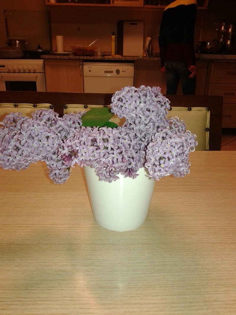 Sezgin Hukuk Bürosu