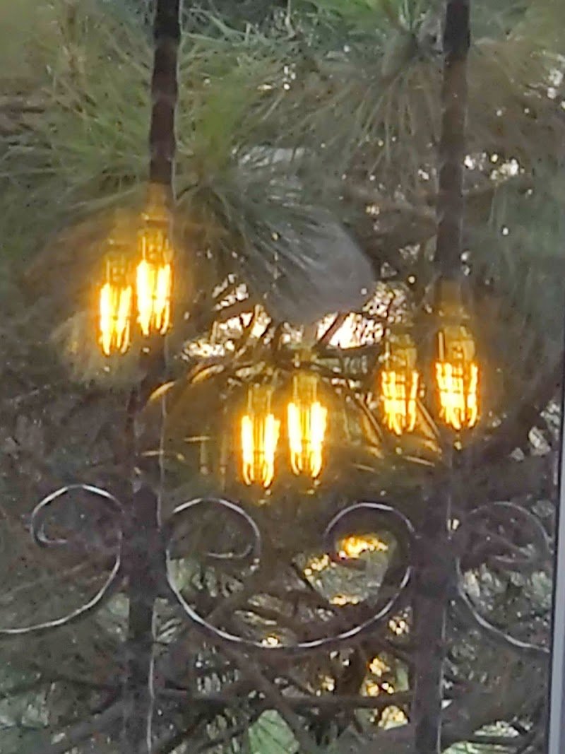 Büyükşehir Hukuk Bürosu