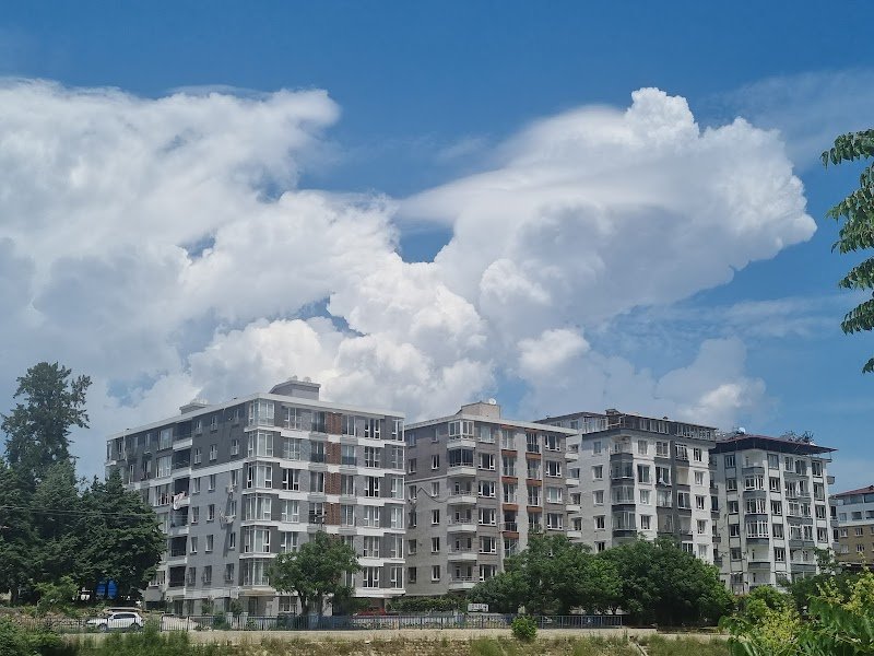 Avukat Ayşegül Atay Coşkun-Avukat Özlem Ay Bilgin