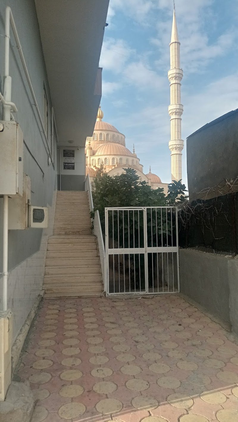 Avukat Veysi Pekacar- المحامي ويسي بكااجار-Lawyer Veysi PEKACAR