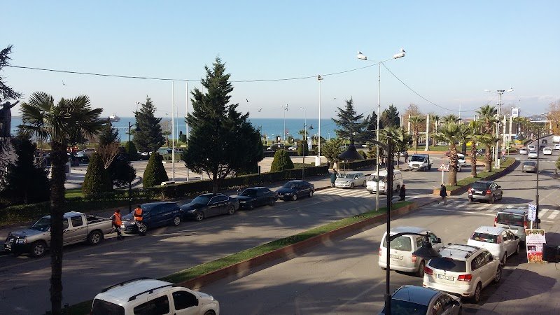 Avukat Güneş Kıbrıs