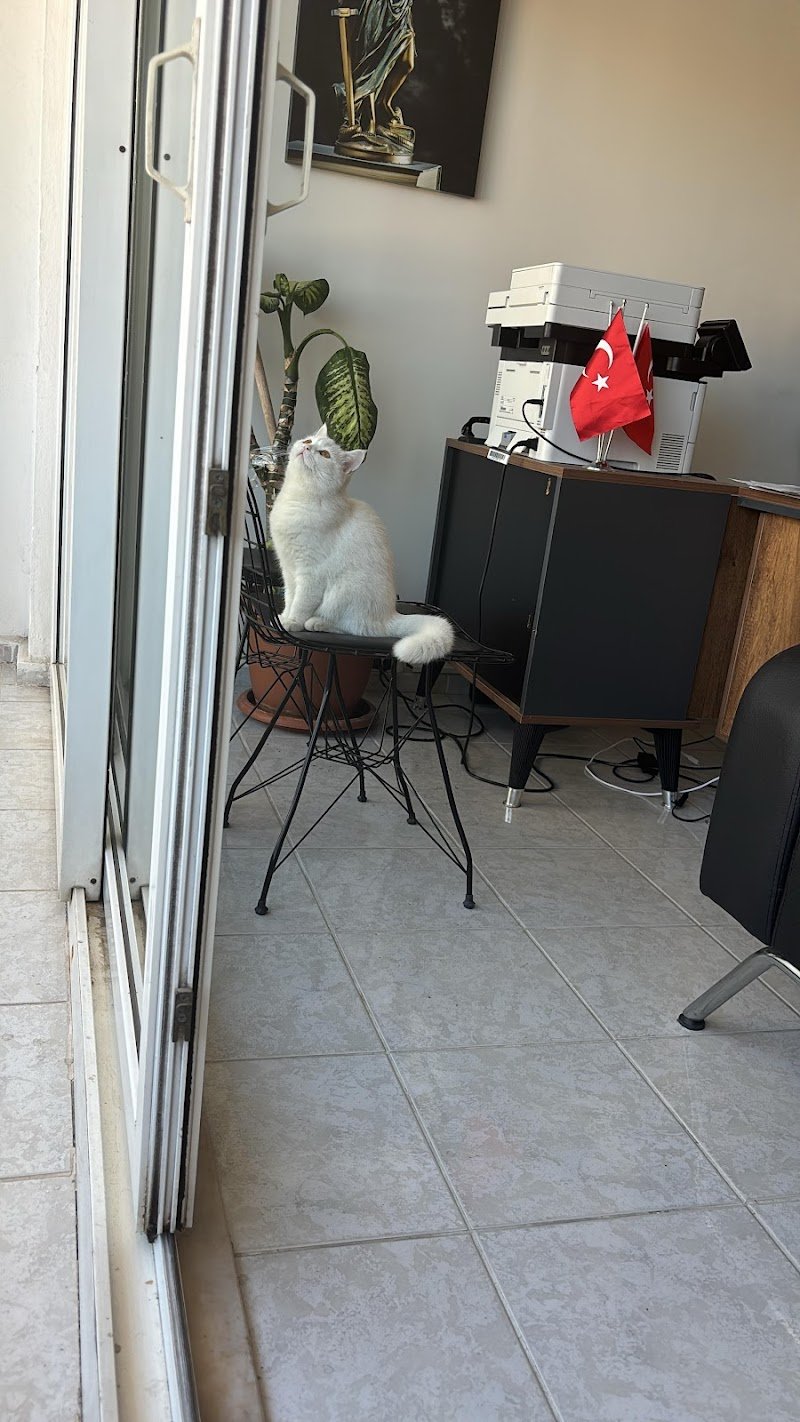 ABDURRAHMAN ŞIK HUKUK & DANIŞMANLIK