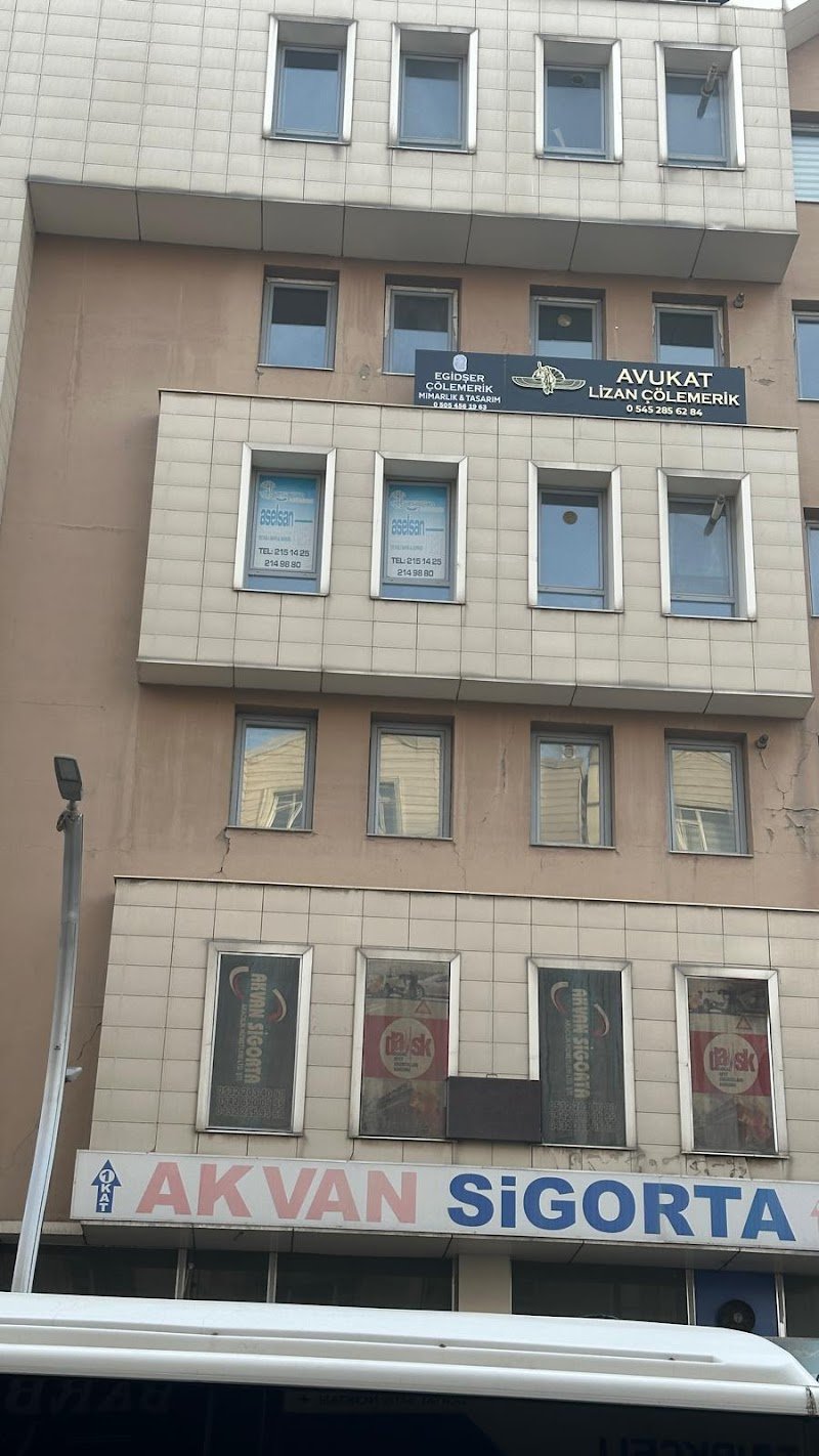 Avukat Lizan ÇÖLEMERİK