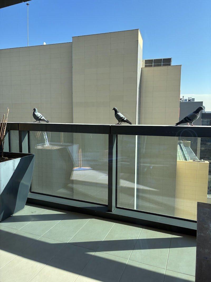 Avukat Güngör Tanrıverdi